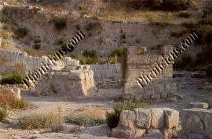 Le temple d'Echmoun - Tribune