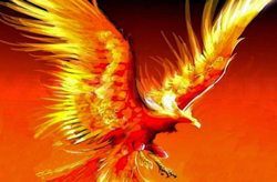 The Phoenix