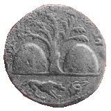 Money - Dog, Murex <br> 220-221 AD, Tyre, Roman period.